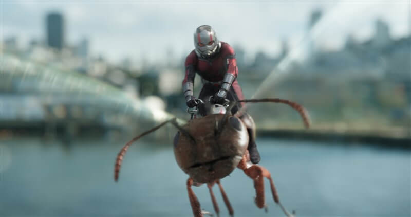 Ant-Man ve Wasp indir