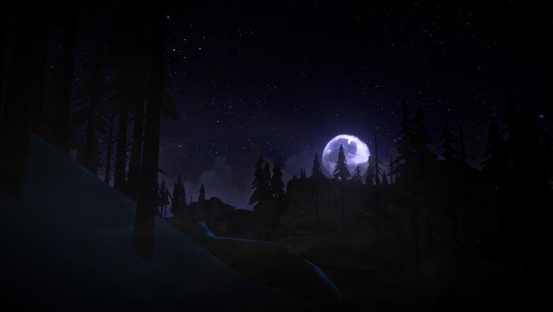 The Long Dark indir