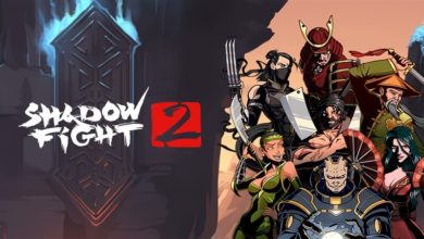 Shadow Fight 2 Hileli Apk İndir