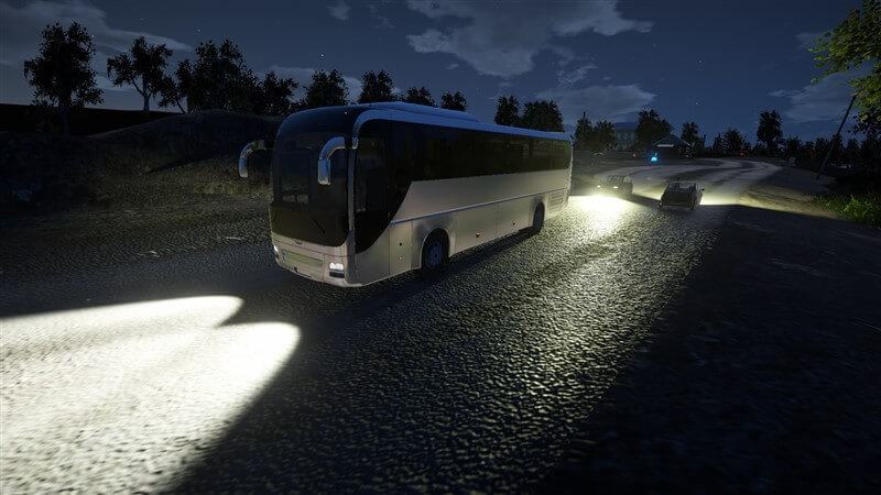 Bus Driver Simulator 2019 İndir