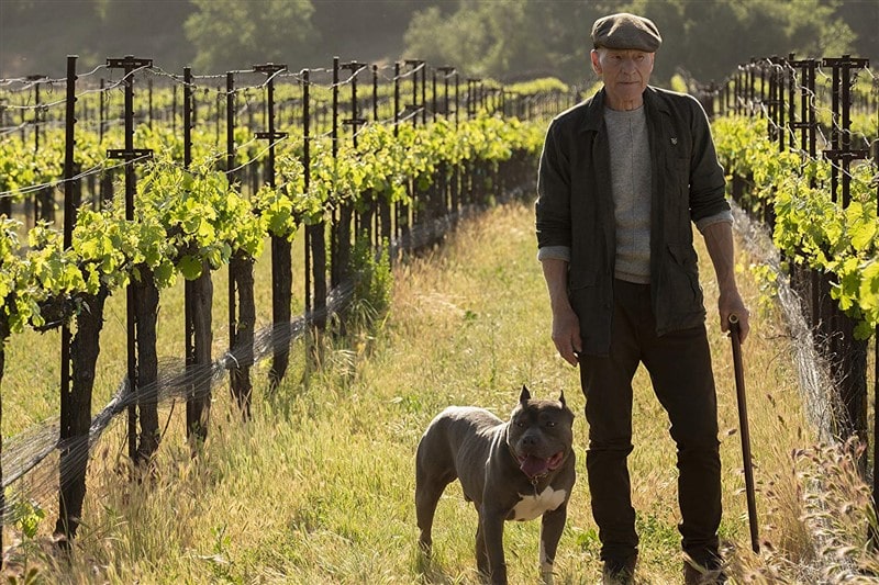 Star Trek Picard 1. Sezon İndir