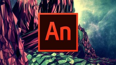 Adobe Animate 2020 İndir